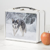 Husky im Schnee Metall Brotdose (Beispiel)