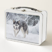 Husky im Schnee Metall Brotdose (Vorderseite)
