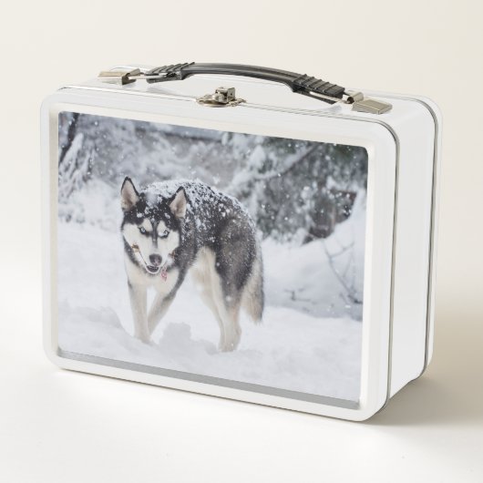 Husky im Schnee Metall Brotdose (Vorderseite)