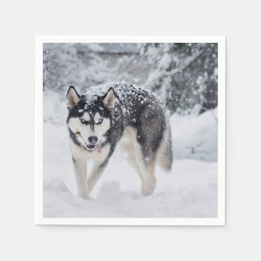 Husky im Schnee Serviette (Vorderseite)