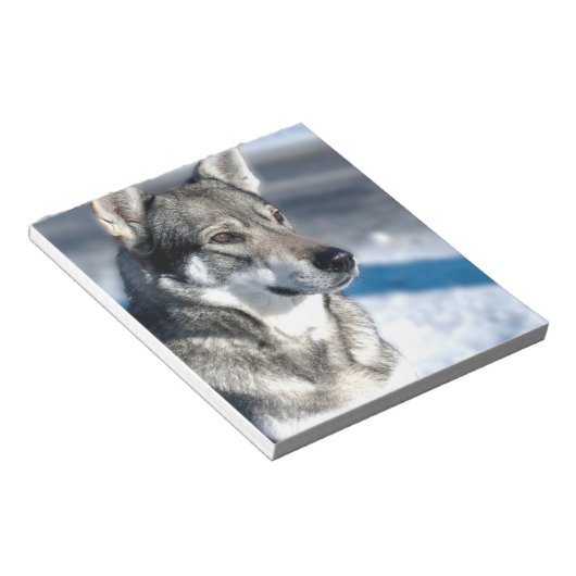 Husky in Snow Notepad Notizblock (angewinkelt)