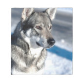 Husky in Snow Notepad Notizblock (Vorderseite)