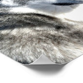 Husky in Snow Poster (Ecke)