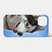 Husky iPhone 6 Fall Sibirische Husky Malamute Hüll Case-Mate iPhone Hülle (Rückseite (Horizontal))