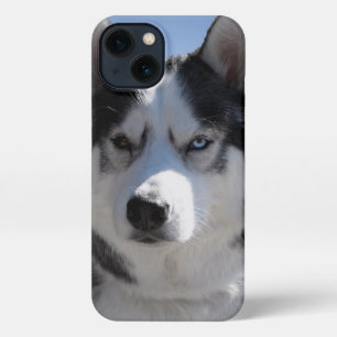 Husky iPhone Case Custom Husky Malamute Hüllen 13 Hülle