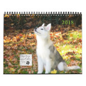 Husky-Kalender Kalender (Titelbild)