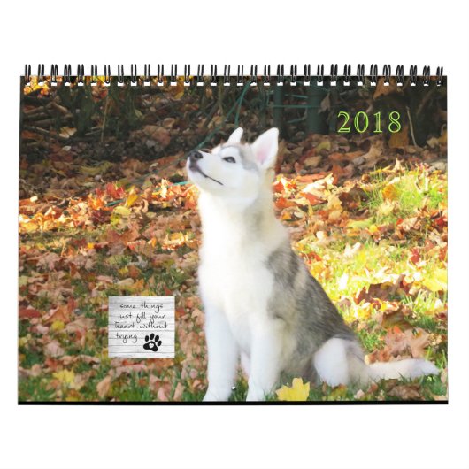 Husky-Kalender Kalender (Titelbild)