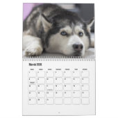 Husky-Kalender Kalender (Mär 2026)