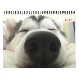 Husky-Kalender Kalender