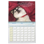 Husky-Kalender Kalender (Feb 2026)