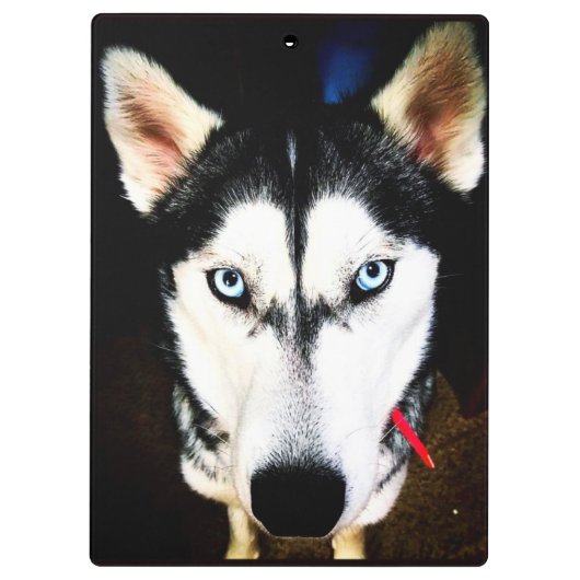 Husky Klemmbrett (Rückseite)