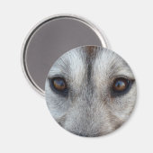 Husky Kühlschrank MagnetSled Dog Wolf Magnet / Ges (Vorderseite/Rückseite)