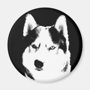 Husky Kühlschrankmagnet Alaskan Sled Dog Magnet / 