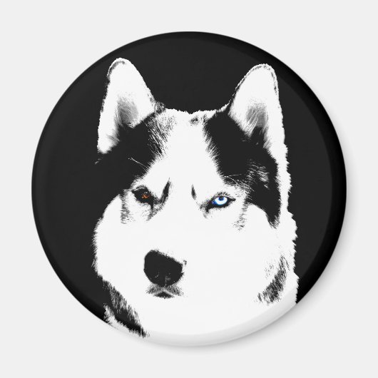 Husky Kühlschrankmagnet Alaskan Sled Dog Magnet / (Vorne)