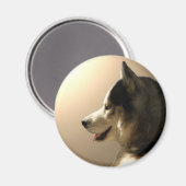 Husky Kühlschrankmagnet Alaskan Sled Dog Magnet / (Vorderseite/Rückseite)