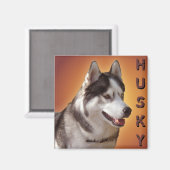 Husky Kühlschrankmagnet Alaskan Sled Dog Magnet / (Vorderseite/Rückseite)