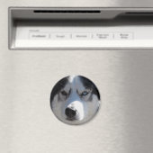 Husky Kühlschrankmagnet Alaskan Sled Dog Magnet /  (In Situ (Geschirrspüler))