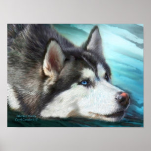 Husky-Kunst-Plakat/Druck Poster