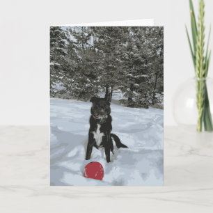 Husky-Labrador-Hund sitzend schneebedeckter, roter Karte