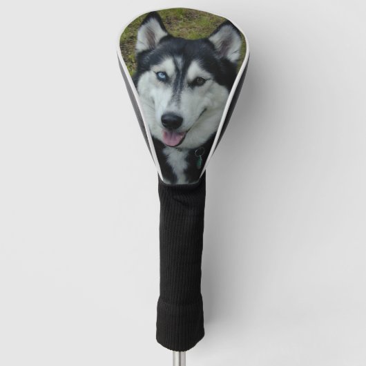 Husky-Lächeln Golf Headcover (Vorderseite)