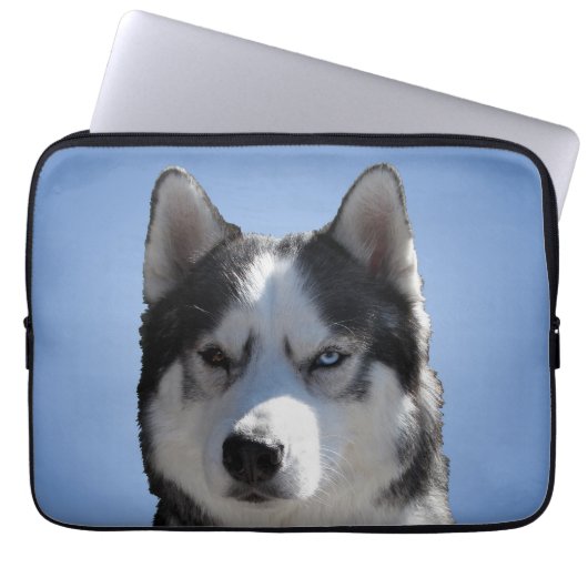 Husky Laptop Case Siberian Husky Eyes Geschenke (Vorderseite)