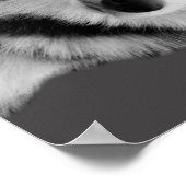 Husky Love Poster (Ecke)