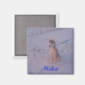 Husky.Mika.magnet Magnet (Vorderseite/Rückseite)