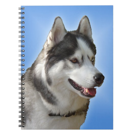 Husky Notebook Siberian Husky Gifts & Books Notizblock (Vorderseite)
