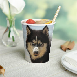 Husky Pappbecher