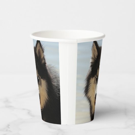 Husky Pappbecher (Rechts)