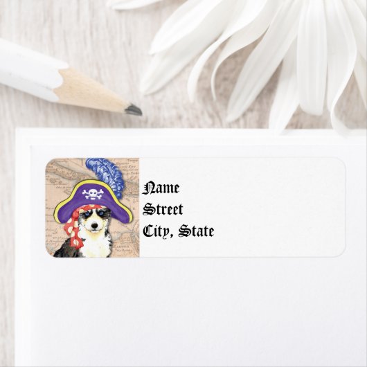 Husky Pirate (Insitu)