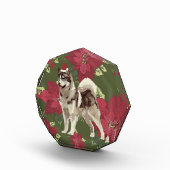 Husky, Poinsettia Blume Fotoblock (Rechts)