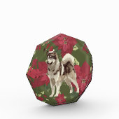 Husky, Poinsettia Blume Fotoblock (Links)