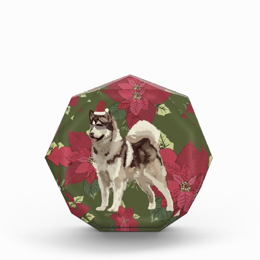 Husky, Poinsettia Blume Fotoblock (Vorderseite)