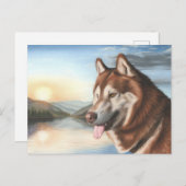 Husky Postcard Postkarte (Vorne/Hinten)