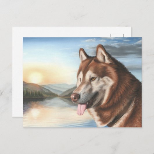 Husky Postcard Postkarte (Vorne/Hinten)