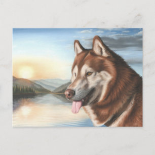 Husky Postcard Postkarte