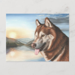 Husky Postcard Postkarte
