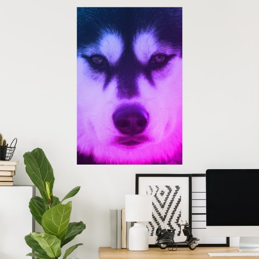 Husky Poster (Heimbüro)