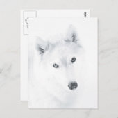 Husky Postkarte (Vorne/Hinten)