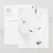 Husky Postkarte (Vorne/Hinten)