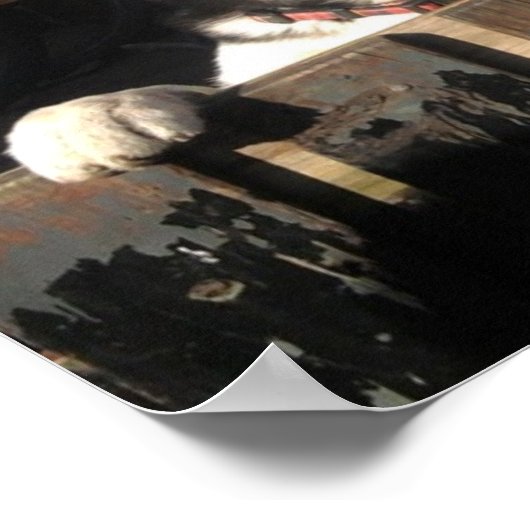 Husky Print. Peeking !! Poster (Ecke)