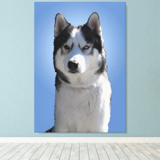 Husky Print Stretched Husky Malamute Dog Leinwand (Insitu (Holzboden))