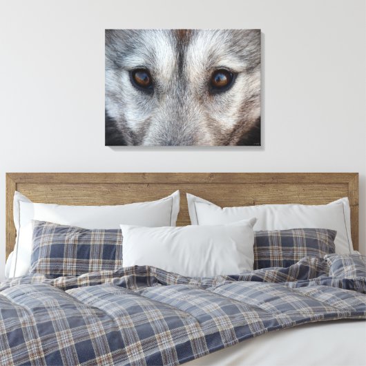 Husky Pup Print Husky Wolf Pup Canvas Print Leinwanddruck (Insitu (Schlafzimmer))