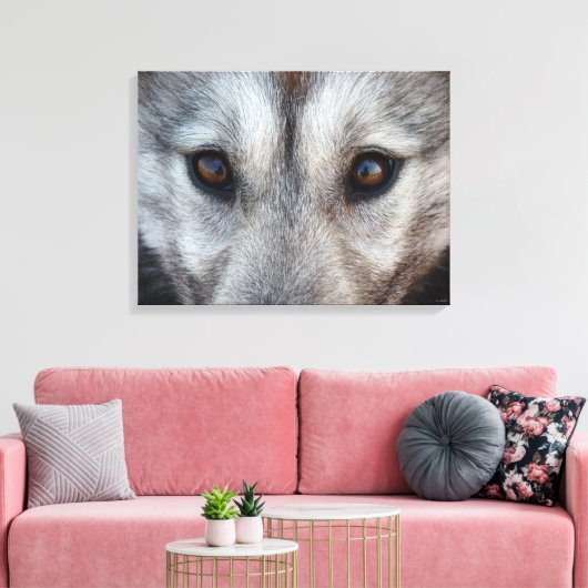 Husky Pup Print Husky Wolf Pup Canvas Print Leinwanddruck (Insitu (Wohnzimmer))