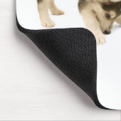 Husky Puppy 2 Mousepad (Ecke)