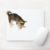 Husky Puppy 2 Mousepad (Mit Mouse)