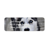 Husky Puppy Mailing Labels (Vorne)
