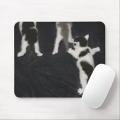 Husky Puppy Mousepad (Mit Mouse)
