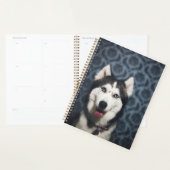 Husky Puppy Posing mit dunklem Background Planer (Anzeige)